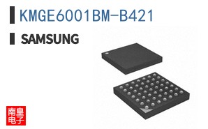 KMGE6001BM-B421