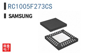 RC1005F273CS
