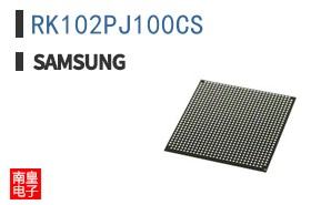 RK102PJ100CS