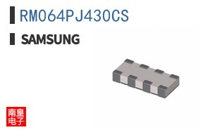 RM064PJ430CS