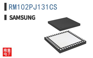 RM102PJ131CS