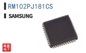 RM102PJ181CS