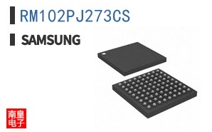 RM102PJ273CS