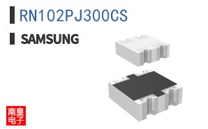 RN102PJ300CS