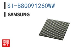 SI-B8Q091260WW