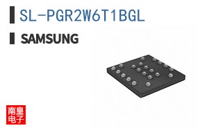 SL-PGR2W6T1BGL
